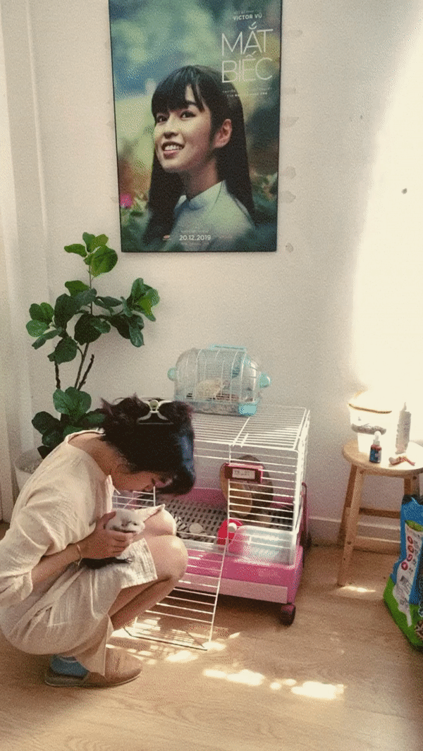 Góc nhỏ cho mèo cưng của Khánh Vân trong căn phòng vintage của mình.