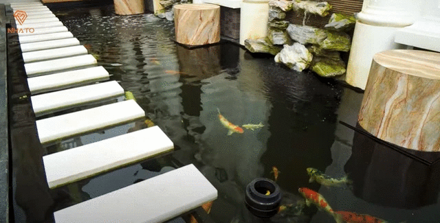 Hồ cá Koi với diện tích lớn đến 80m2 được xem là điểm nhấn của siêu biệt thự. 