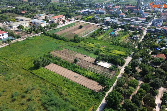 'Tận mục' dự án đấu giá đất hơn 200 tỷ ở khu du lịch Hồng Vân
