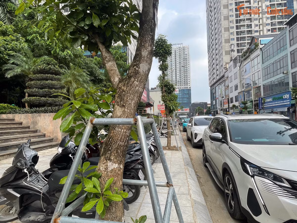 Cùng với mặt đường mới, hệ thống hạ tầng kỹ thuật như chiếu sáng, cây xanh, cũng đang dần hoàn thiện. Nhiều khoảng không sau giải tỏa đã mở ra tầm nhìn thông thoáng hơn, góp phần cải thiện cảnh quan toàn tuyến.