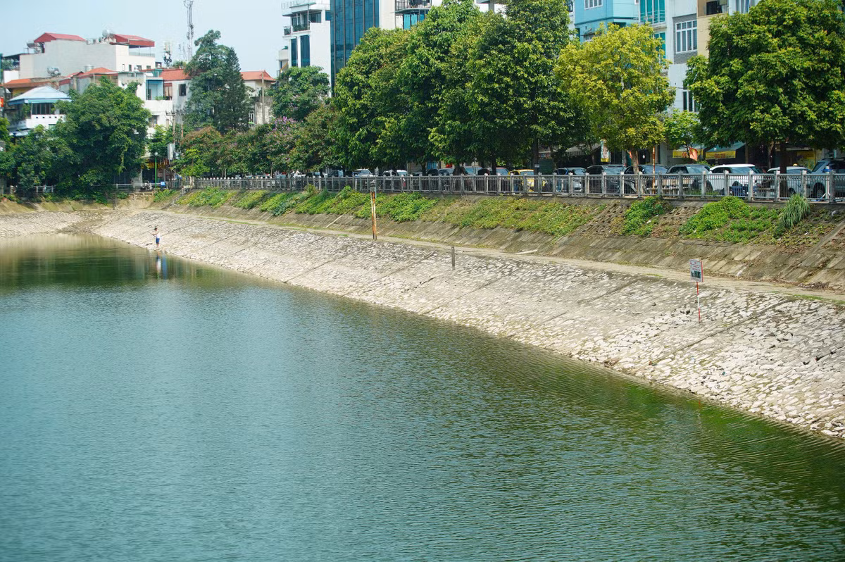 Thay vì chỉ dừng ở việc đưa ra chế tài, trong khi người dân chưa có phương án thay thế phù hợp, họ sẽ tiếp tục lựa chọn cách làm cũ, mà nên tổ chức, bố trí xử lý, phân loại… có thể là hướng đi khả thi. Đồng thời, cần có tiếng nói thống nhất từ phía cơ quan quản lý và các tổ chức văn hóa, tôn giáo để định hướng hành vi trong cộng đồng.
