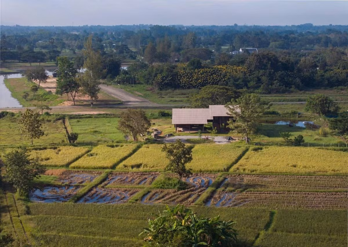 Giữa vùng ngoại ô yên bình của thành phố Chiang Mai (Thái Lan), nơi những thửa ruộng lúa nối tiếp các triền đồi và dãy núi phía xa, Raintree Lane Farm House hiện lên như một phần vốn đã thuộc về khung cảnh ấy. Không đồ sộ, không phô trương vật liệu hay hình khối, công trình của Yangnar Studio gây ấn tượng bằng sự giản dị và cách nó "ẩn mình" giữa thiên nhiên. Đây không đơn thuần là một ngôi nhà ở mà còn là mô hình sống bền vững được hình thành từ tư duy kiến trúc sinh thái và triết lý nông nghiệp vĩnh cửu (Permaculture).