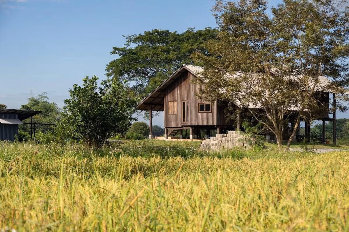 Ngôi nhà nằm trên khu đất rộng gần 2 mẫu Anh (khoảng 8.000 m²). Thay vì san gạt địa hình để xây dựng một công trình áp đảo cảnh quan, nhóm thiết kế lựa chọn cách tiếp cận ngược lại: để địa hình quyết định kiến trúc. Khoảng đất rộng vẫn được giữ gần như nguyên trạng với đồng lúa, cây bản địa, hồ nước và những khoảng xanh nối tiếp nhau. Kiến trúc vì thế chỉ chiếm một phần rất nhỏ trong tổng thể, nhường vai trò trung tâm cho hệ sinh thái tự nhiên.