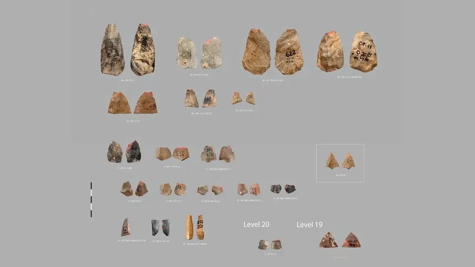Phát hiện vũ khí 80.000 năm hé lộ bí ẩn người Neanderthal cổ đại
