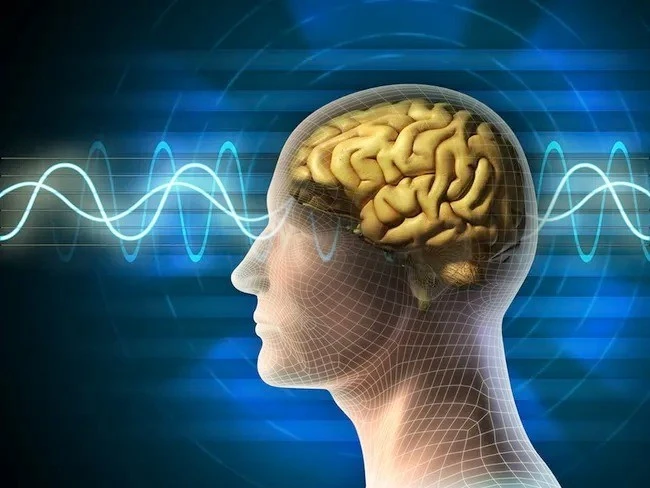 Chuyên gia dự đoán tuổi thọ của con người qua não bộ
