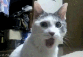 Không nói lên lời!