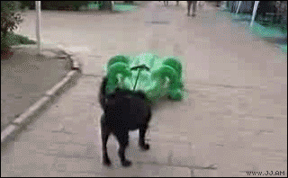 Đừng theo đuôi tao!