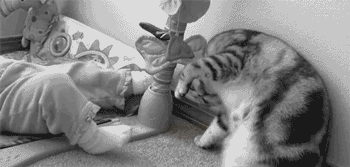 Ai lộn trước chơi trước.