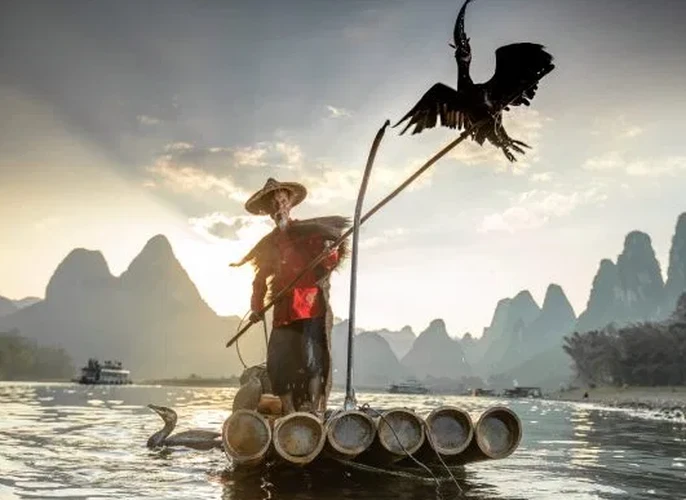 Ấn tượng bộ ảnh ngư dân Trung Quốc đánh cá bằng chim cốc