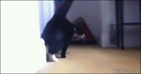 1...2...3...bất động!
