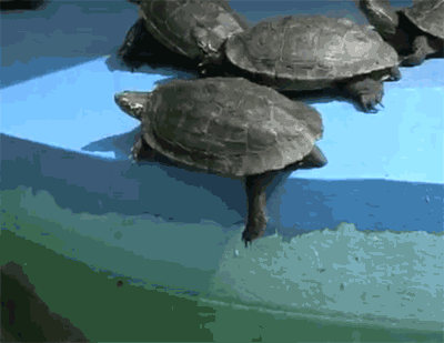 Nỗi đau của kẻ thứ ba.