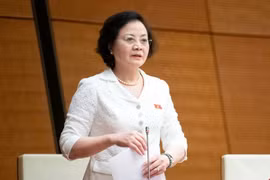 Phó Thủ tướng Phạm Thị Thanh Trà: 'Tập trung cao cho việc hoàn thiện thể chế chính sách'