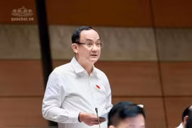 ĐBQH đề xuất phát triển nhà ở phải dựa trên thu nhập, khả năng chi trả