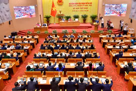 Hà Nội chuyển cơ quan điều tra 26 vụ vi phạm về an toàn thực phẩm