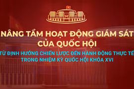Nâng tầm hoạt động giám sát trong nhiệm kỳ Quốc hội khóa XVI