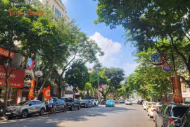 Hà Nội ban hành danh mục quản lý cây xanh, 18 loại cây không được phép trồng