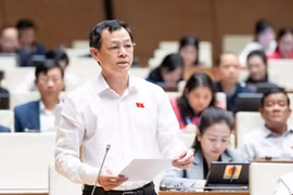Đề xuất bảo hiểm chi trả toàn bộ chi phí lắp chân tay giả