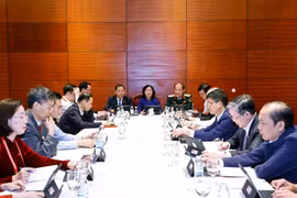 Đoàn đại biểu Đảng bộ Mặt trận Tổ quốc, các đoàn thể Trung ương thảo luận các văn kiện Đại hội tại Đoàn.