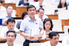 Làm rõ căn cứ xác định mức bồi thường thiệt hại của người bị thiệt hại