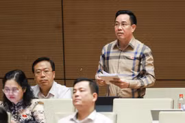 Đại biểu Nguyễn Văn Huy. Ảnh: Quốc hội.