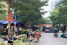 Hà Nội lên kế hoạch giải tỏa toàn bộ 'chợ cóc'