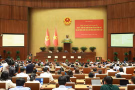 Nghiên cứu mô hình đơn vị hành chính đô thị đặc biệt