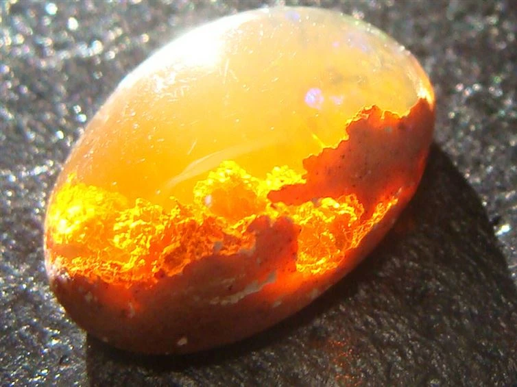 Giật mình những bức ảnh khiến con người không thể không... “đông não" 