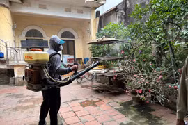 Hà Nội kiểm soát chặt dịch bệnh, giảm số ca sốt xuất huyết