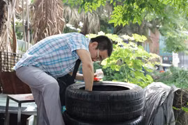Sốt xuất huyết gia tăng tại Hà Nội, các bệnh khác vẫn được kiểm soát