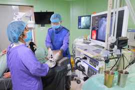 Hạt táo đỏ sắc nhọn đâm thủng dạ dày, người phụ nữ nguy hiểm tính mạng