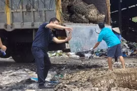 Quảng Ninh phát hiện 3.100 kg hàu không rõ xuất xứ