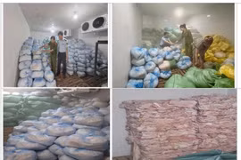 Thanh Hóa phát hiện hơn 14 tấn bì lợn không rõ nguồn gốc