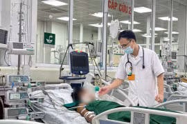 Nguy hiểm từ thuốc Nam tự mua trên mạng gây suy gan cấp và hôn mê sâu