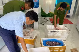 Phú Yên phát hiện, xử phạt hộ kinh doanh thực phẩm "bẩn"