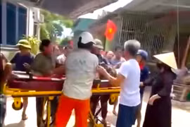 Người đàn ông tử vong do bị đàn ong tấn công khi đang cắt cỏ