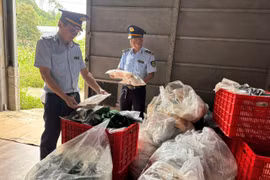 Lạng Sơn tịch thu số lượng lớn quần áo nữ không có hóa đơn, chứng từ hợp pháp