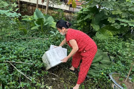 Hà Nội ghi nhận 359 ca sốt xuất huyết, còn nhiều ổ dịch mới