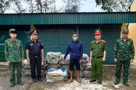 Phát hiện 800kg nầm lợn không rõ nguồn gốc tại biên giới Quảng Ninh