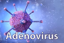 Bác sĩ cảnh báo nguy cơ biến chứng nặng từ virus Adenovirus ở trẻ nhỏ