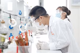 Chính sách học bổng mới thu hút nguồn nhân lực chất lượng cao