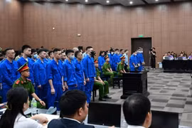 Mr Pips mắc bệnh lý tâm thần hưng phấn… sự thật thế nào?