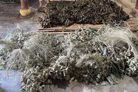 Chuyên gia cảnh báo nguy cơ từ bánh ú tro chứa hàn the