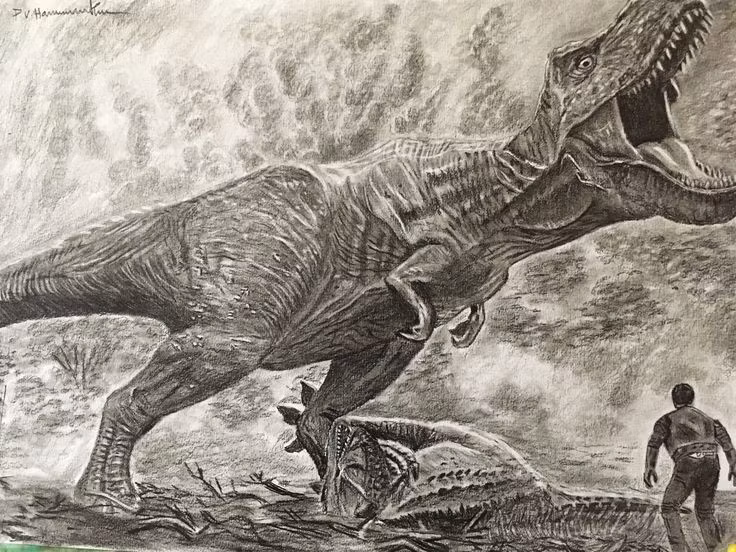  2. Thị lực tuyệt vời. Trái với hình ảnh trong phim, T. rex có thị lực cực tốt, thậm chí nhạy gấp nhiều lần đại bàng ngày nay. Ảnh: Pinterest.