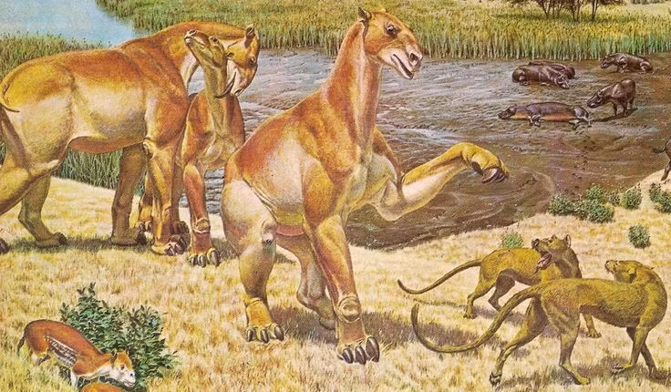  Chúng thuộc họ Chalicotheriidae đã tuyệt chủng. Họ này gồm các loài móng guốc kỳ dị có móng vuốt thay vì móng tròn. Ảnh: Pinterest.
