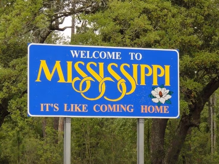  3. Ý nghĩa tên gọi. Tên “Mississippi” bắt nguồn từ ngôn ngữ Ojibwe của người bản địa, có nghĩa là “dòng sông vĩ đại”. Ảnh: Pinterest.