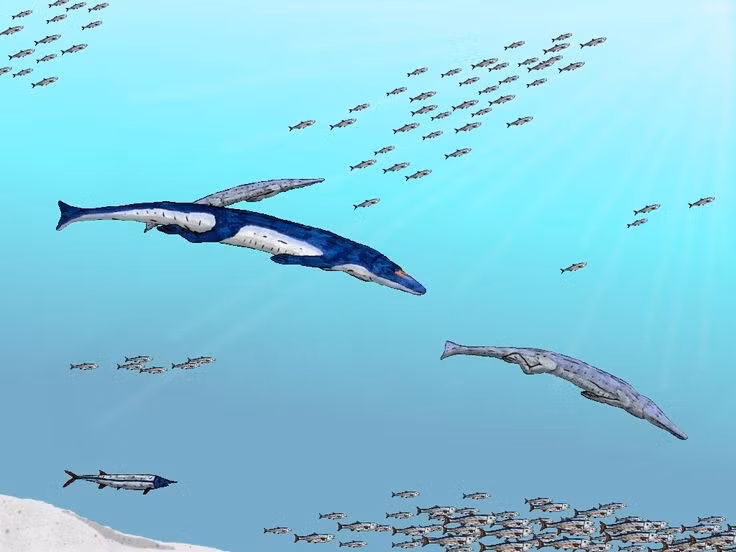  Có khả năng điều chỉnh muối. Geosaurus được cho là có tuyến muối, giúp thích nghi với môi trường biển mặn. Ảnh: Pinterest.
