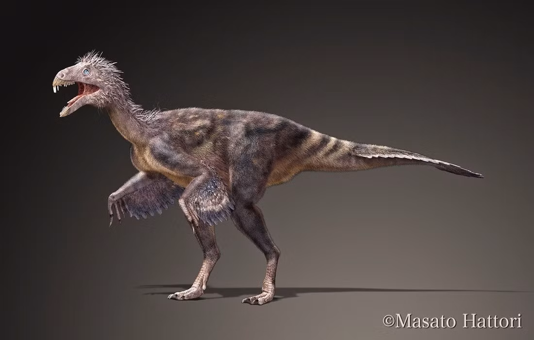 Gợi ý về sự đa dạng tiến hóa sớm. Sự tồn tại của Incisivosaurus cho thấy ngay từ sớm, khủng long chân thú đã thử nghiệm nhiều kiểu ăn và cấu trúc hàm khác nhau, đặt nền móng cho sự phong phú sinh học về sau. Ảnh: weebly.com.