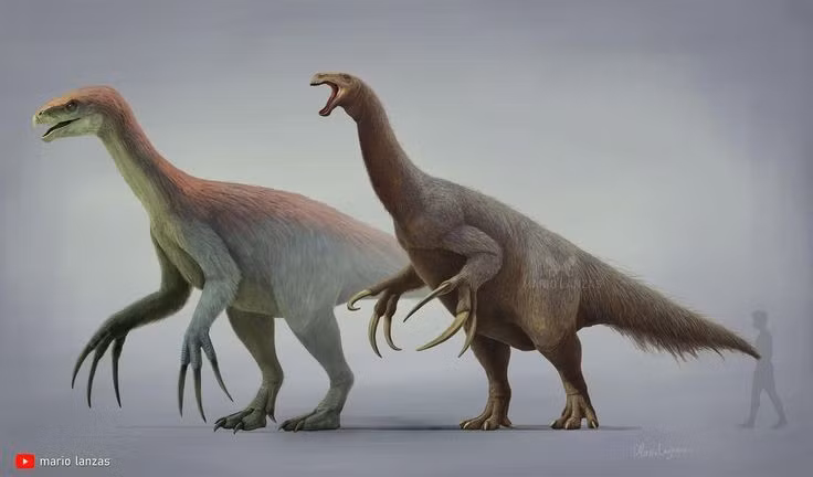  4. Cổ dài và đầu nhỏ giúp nó vươn tới tán lá cao. Với cổ dài mềm dẻo, Therizinosaurus có thể tiếp cận lá cây hoặc cành cao mà không cần di chuyển nhiều, giống như một “hươu cao cổ khủng long”. Ảnh: Pinterest.