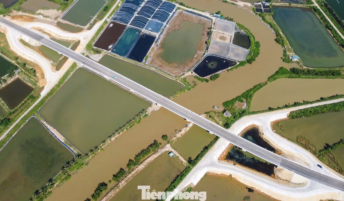 Sau thời gian thi công, đến nay dự án đã hoàn thành xây lắp, sắp đưa vào khai thác. Theo ghi nhận, trên toàn tuyến có 4 cây cầu, gồm 3 cầu lớn vượt sông Lèn, sông Lạch Trường, kênh De và một cầu trung vượt kênh Hói Đào. Một số đoạn tuyến đã hoàn thiện, kết nối với hệ thống giao thông hiện hữu.