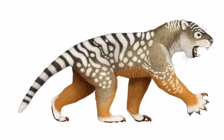  6. Phân bố chủ yếu ở Mông Cổ. Hóa thạch Sarkastodon được tìm thấy nhiều nhất tại khu vực Mông Cổ, nơi từng là đồng bằng rộng lớn với hệ động vật phong phú. Ảnh: Pinterest.